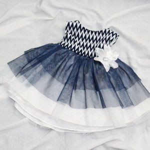 NWOT Sweet Heart Rose Baby Dress sz0-3M